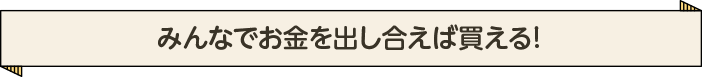 みんなでお金を出し合えば買える！