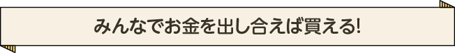 みんなでお金を出し合えば買える！